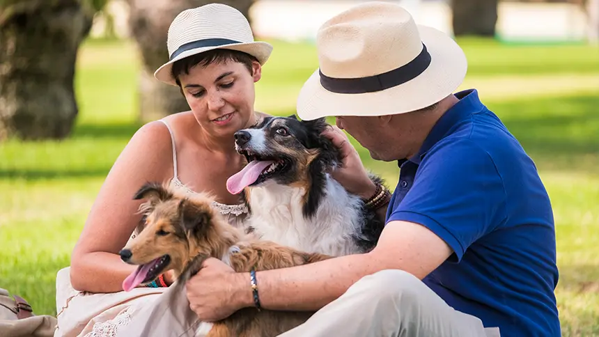 Pet-Friendly Entertainment in Dubai