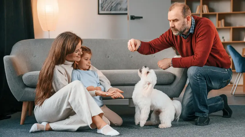 Pet Parenting in the UAE