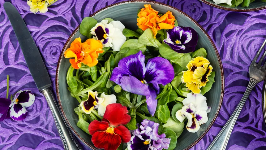 Edible Flowers and Herbs