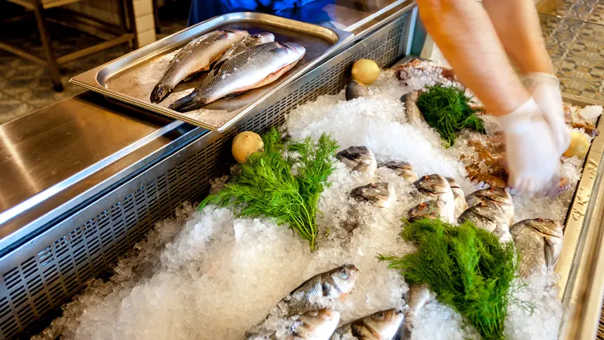 Sustainable Seafood Restaurants in Dubai