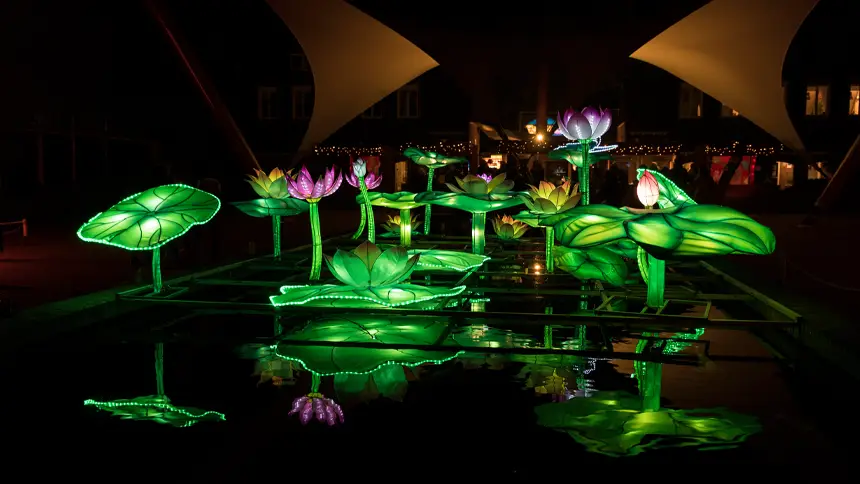 Night-Time Botanical Shows