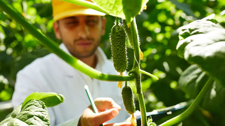 Farm-to-Table Restaurants