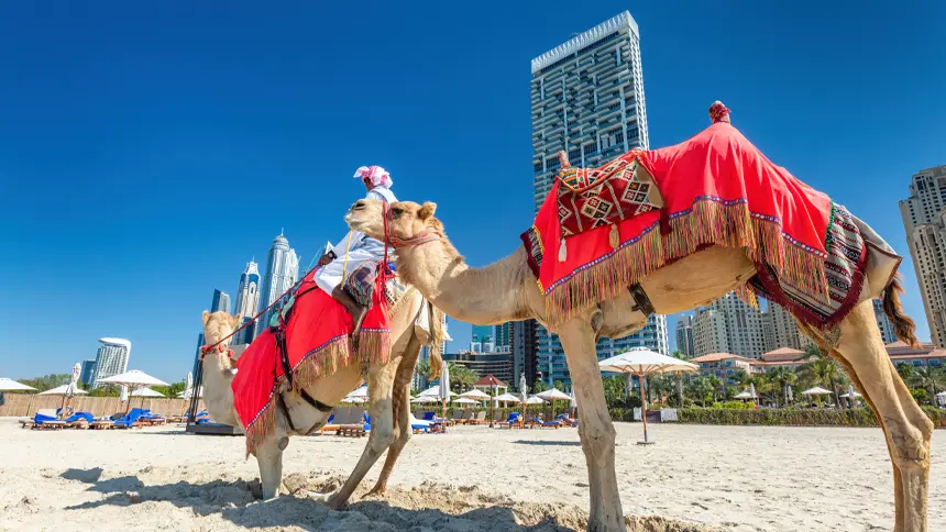 Festivals Attracting Visitors to Ajman